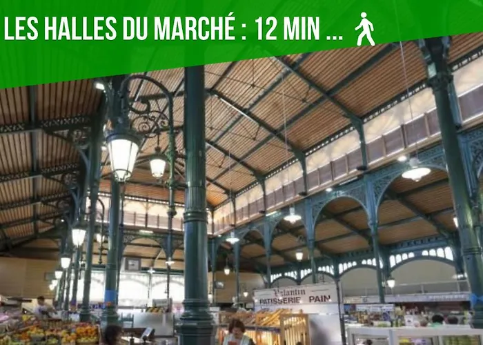 Appartement Loc Trotteur Le Graphite T2 Grand Confort Terrasse Lourdes